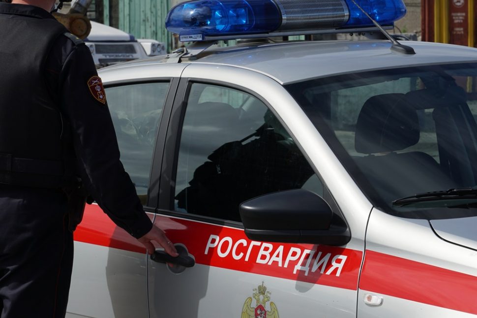В Архангельске сотрудниками Росгвардии задержан местный житель, подозреваемый в краже товара из строительного гипермаркета 